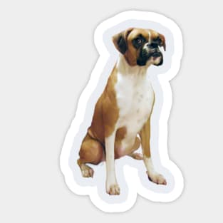 Boxer (with black mask & natural ears) - Just the dog Sticker